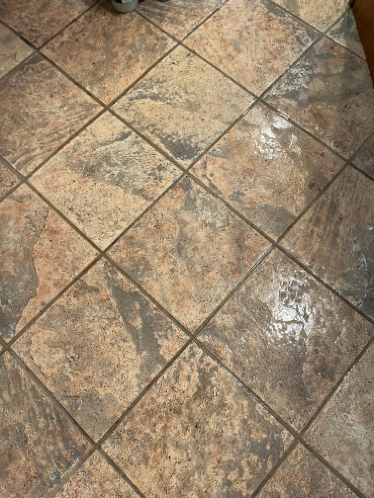 hydrostar carpet cleaning knoxville tn 2025 12 03T22 19 32.415994Z 64759.960608787034