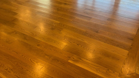 hydrostar carpet cleaning knoxville tn 2025 12 03T22 19 45.800653Z 71314.15028319767