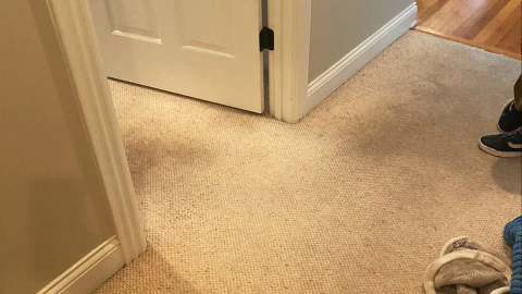 hydrostar carpet cleaning knoxville tn 2025 12 03T22 19 47.172721Z 34904.85815234523
