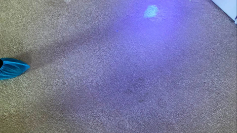 hydrostar carpet cleaning knoxville tn 2025 12 03T22 19 47.462568Z 95236.07951122883