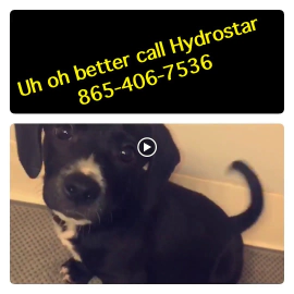 hydrostar carpet cleaning knoxville tn 2025 12 03T22 19 49.128117Z 86654.78346671582