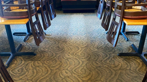 hydrostar carpet cleaning knoxville tn 2025 12 03T22 19 49.404921Z 34221.417836458866