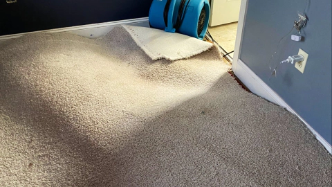 hydrostar carpet cleaning knoxville tn 2025 12 03T22 19 49.575139Z 8124.39729138208