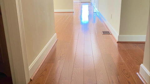 hydrostar carpet cleaning knoxville tn 2025 12 03T22 19 49.768883Z 40646.73033107422