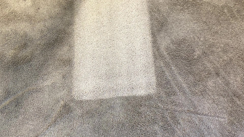 hydrostar carpet cleaning knoxville tn 2025 12 03T22 19 52.668028Z 32660.69672691798 (1)