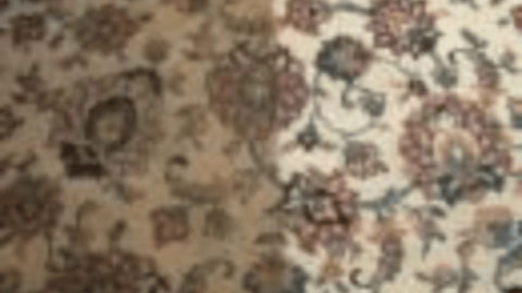 hydrostar carpet cleaning knoxville tn 2025 12 03T22 20 01.037187Z 5836.422122710561