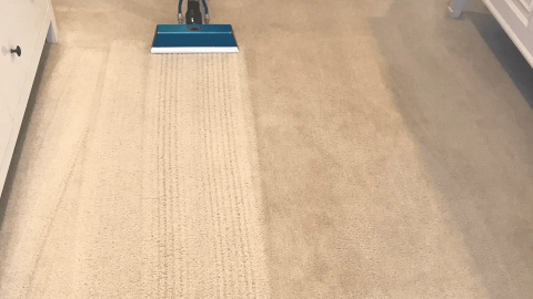 hydrostar carpet cleaning knoxville tn 2025 12 03T22 20 03.655384Z 6753.227946968465