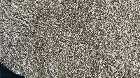 hydrostar carpet cleaning knoxville tn 2025 12 03T22 20 05.337555Z 85753.71975508878