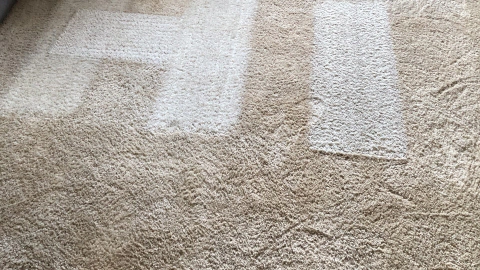 hydrostar carpet cleaning knoxville tn 2025 12 03T22 20 06.819280Z 66919.50516620942
