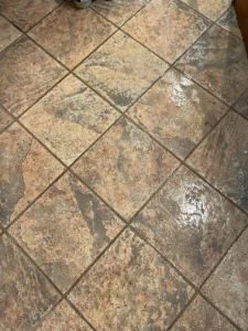 hydrostar carpet cleaning knoxville tn 2025 12 03T22 19 32.415994Z 64759.960608787034