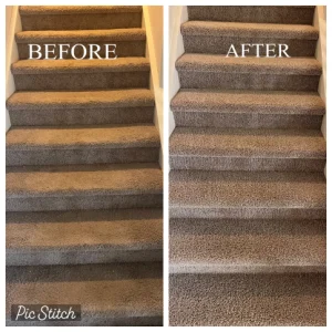hydrostar carpet cleaning knoxville tn 2025 12 03T22 19 39.130382Z 86215.04927197656