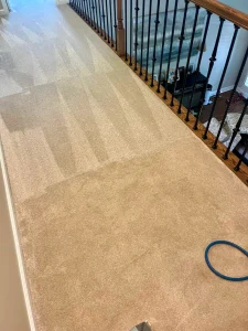 hydrostar carpet cleaning knoxville tn 2025 12 03T22 19 39.678511Z 78943.5510136743
