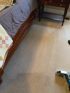 hydrostar carpet cleaning knoxville tn 2025 12 03T22 19 42.313600Z 79942.18142431475