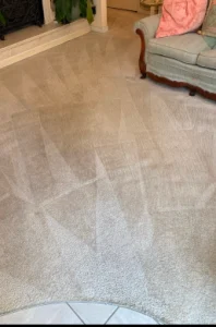 hydrostar carpet cleaning knoxville tn 2025 12 03T22 19 42.648154Z 106.73418768121223