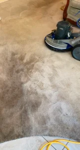 hydrostar carpet cleaning knoxville tn 2025 12 03T22 19 43.091156Z 17685.785146129707