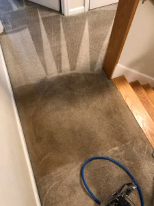 hydrostar carpet cleaning knoxville tn 2025 12 03T22 20 02.828449Z 45629.21576071244