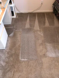 hydrostar carpet cleaning knoxville tn 2025 12 03T22 20 04.041142Z 92656.37946971189