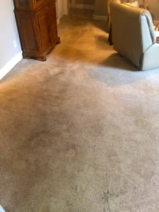 hydrostar carpet cleaning knoxville tn 2025 12 03T22 20 04.665123Z 43383.133103346336