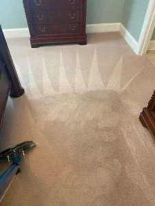 hydrostar carpet cleaning knoxville tn 2025 12 03T22 20 04.735362Z 26133.464189871193