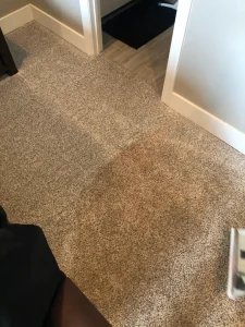 hydrostar carpet cleaning knoxville tn 2025 12 03T22 20 05.398683Z 65984.52166375183