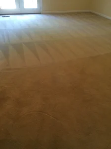 hydrostar carpet cleaning knoxville tn 2025 12 03T22 22 34.735030Z 71273.10095623422